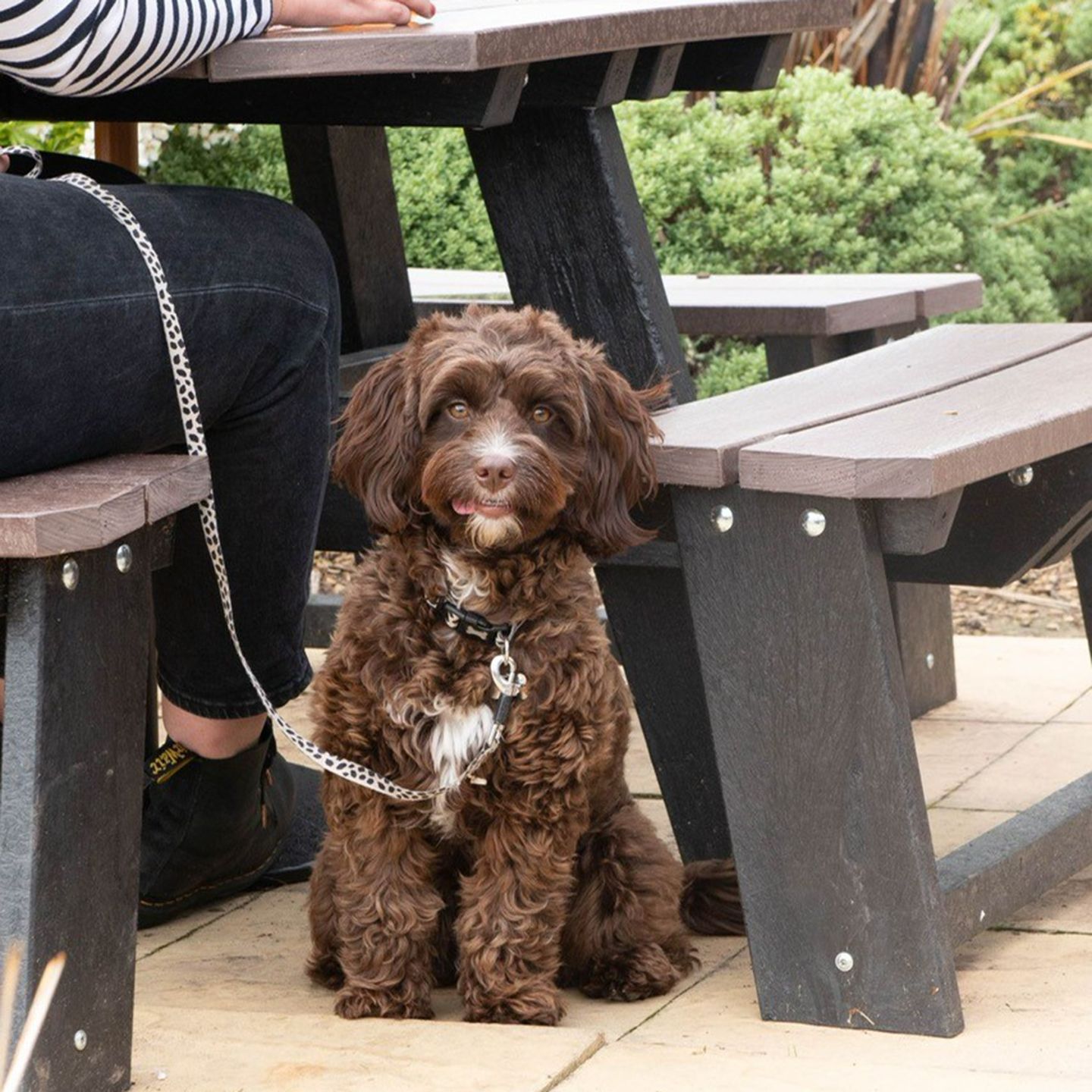 Your local dog friendly pub in Melling